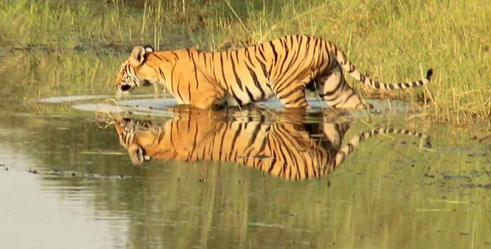 Kathmandu Chitwan Tour 5 Days